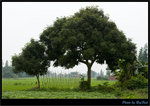 JUN_1714_OUT copy