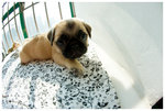 Innocent look!