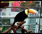 Dscn5472