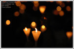 DSC_1455a1a