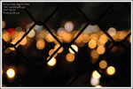 DSC_1604a1a