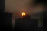 Resize of DSC_3156