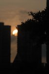 Resize of DSC_3159