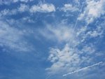 DSCN7110a1a
