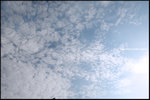 DSC_1879a2b