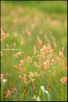 DSC_1886a2b