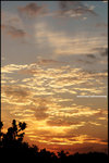 DSC_1892a2b