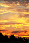 DSC_1904a1a