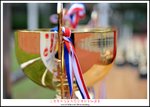 DSC_8006a1