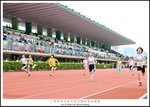 DSC_9373a1