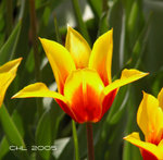 DSCN4116