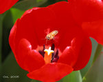 DSCN4126
