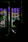 IMG_8895