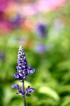 IMG_8904