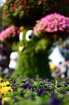 IMG_9031