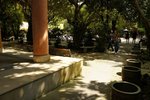 DSC01317