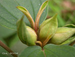 DSCN0131