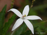 DSCN0135