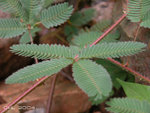 DSCN0147