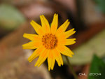 DSCN0148