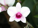 DSCN3777
