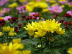 DSCN3841