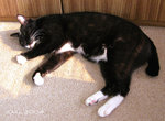 DSCN0714