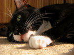 DSCN0716