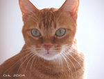 DSCN0717