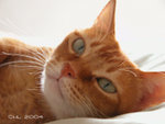DSCN0719