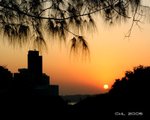IMG_5654