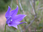 DSCN0353