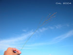 DSCN0394