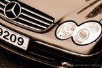 _DSC0098aa