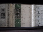 P7190074 by pancake