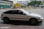 L1051679wm