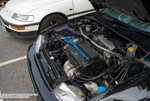 L1051694wm