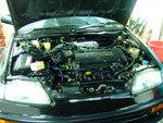 DSCF5004