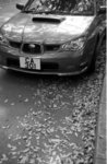 M2_Acros1005_DL4