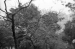 M2_Acros1009_DL4
