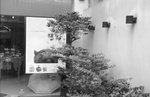 M6_HP5400_50cooke25S