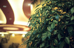 RDPIII_50test_1EF8_1