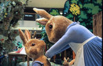 RDPIII_50test_6EF8_6