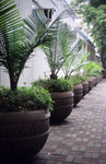 RDPIII_50test_KM50_22EF8_22