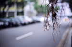RDPIII_50test_KM50_24EF8_24
