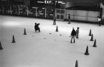 XP2_KSM50_1-1