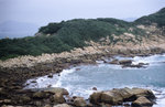 Alpa_test_15