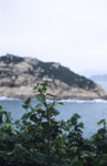 Alpa_test_16