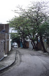 Alpa_test_20