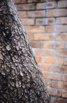 Alpa_test_22